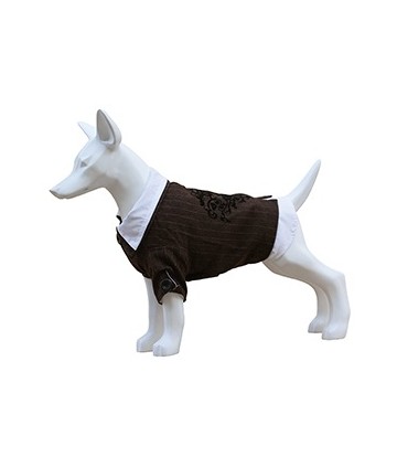 Traje Con Camisa T-25