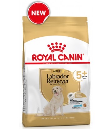 BHN Labrador Retrev Ad  12kg