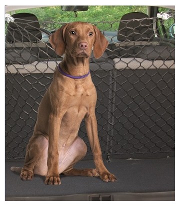 Red separadora para perros
