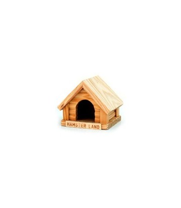 Casa Madera Mini