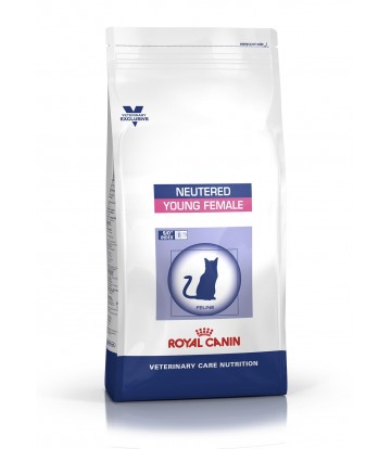 VCN Cat Female 10kg