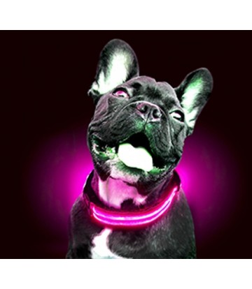 Collar Led Con Pilas Rosa S 40-48cm