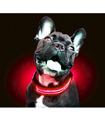 Collar Led Con Pilas Rojo M 45-52cm