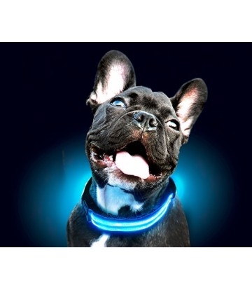 Collar Led Con Pilas Azul M 45-52cm