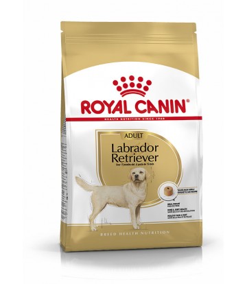 BHN Labrador Retrev Ad 12kg