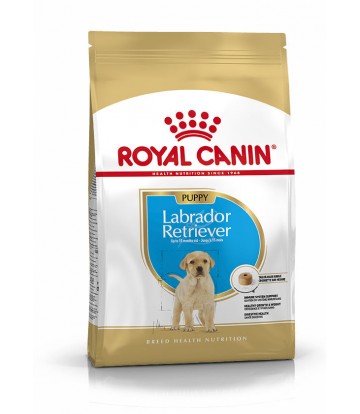 BHN Labrador Retrev Jr 3kg