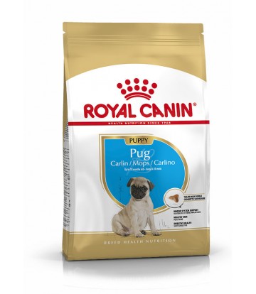 BHN Carlino Jr 1,5kg