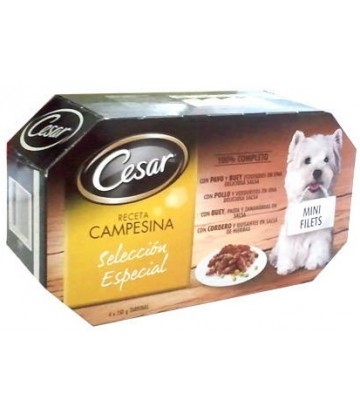 Cesar Multipack Receta Campesina 4*150Gr (6Uds)