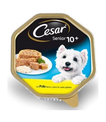 Cesar Senior 150Gr (14Uds)