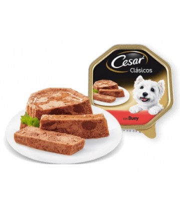 Cesar Buey 300G (20uds)