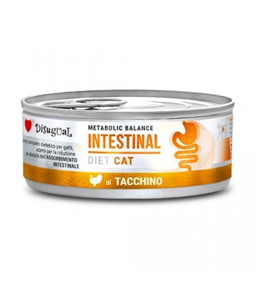 Diet Cat Wet Intestinal Pavo 85gr (12uds)