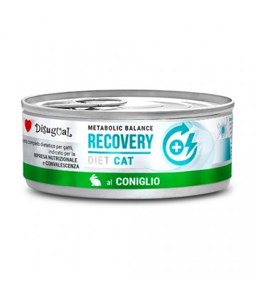 Diet Cat Wet Recovery Conejo 85gr (12uds)