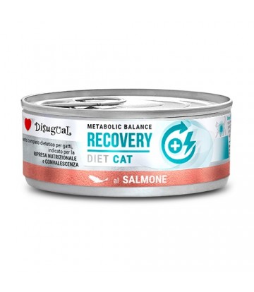 Diet Cat Wet Recovery Salmón 85gr (12uds)