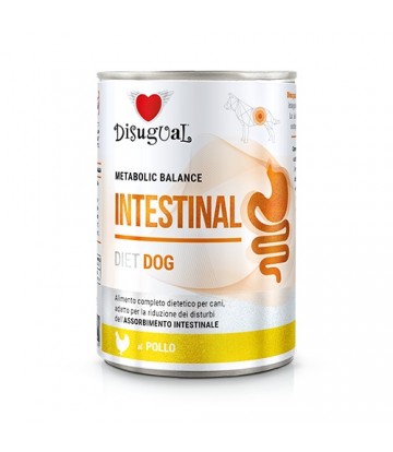 Diet Dog Wet Intestinal Pollo 400gr (6uds)
