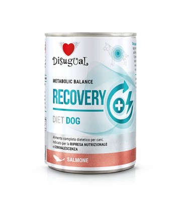 Diet Dog Wet Recovery Salmón 400gr (6uds)