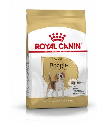 BHN Beagle Ad 12kg