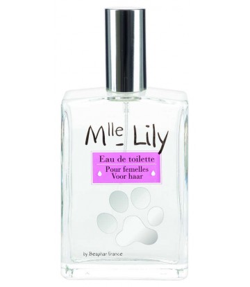 Perfume Ms. Lily Hembras 50ml