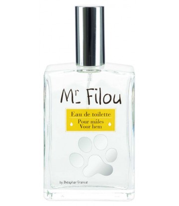 Perfume Mr. Filou Machos 50ml