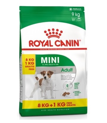SHN Mini Adult 8kg홈 Gratis